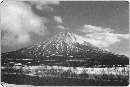 Иллюстрация к книге — Путешествие по всему миру на "Буссоли" и "Астролябии" [i_192.jpg]