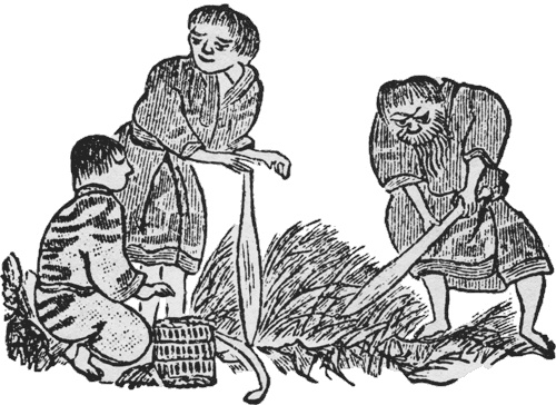 Иллюстрация к книге — Путешествие по всему миру на "Буссоли" и "Астролябии" [i_196.jpg]