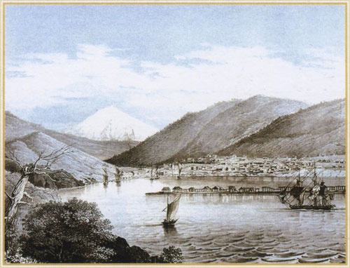 Иллюстрация к книге — Путешествие по всему миру на "Буссоли" и "Астролябии" [i_221.jpg]