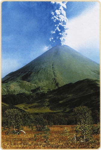 Иллюстрация к книге — Путешествие по всему миру на "Буссоли" и "Астролябии" [i_223.jpg]