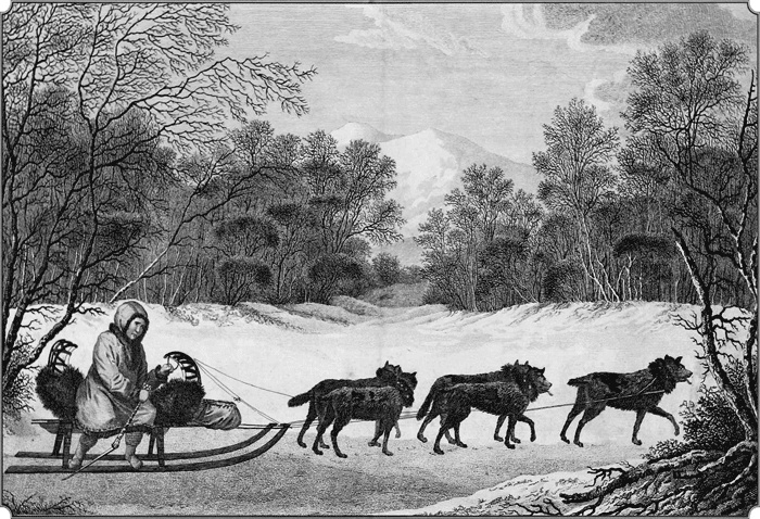 Иллюстрация к книге — Путешествие по всему миру на "Буссоли" и "Астролябии" [i_229.jpg]