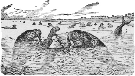 Иллюстрация к книге — Путешествие по всему миру на "Буссоли" и "Астролябии" [i_233.jpg]