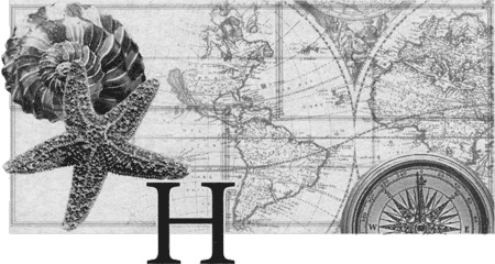 Иллюстрация к книге — Путешествие по всему миру на "Буссоли" и "Астролябии" [i_243.jpg]