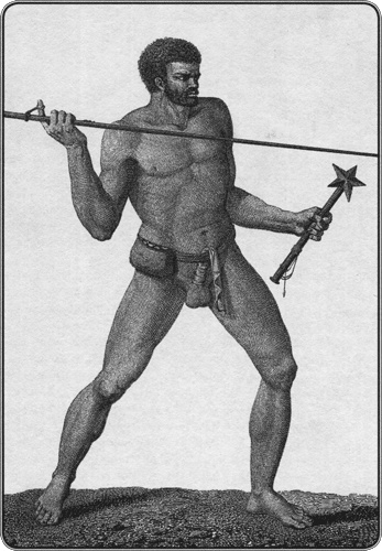 Иллюстрация к книге — Путешествие по всему миру на "Буссоли" и "Астролябии" [i_244.jpg]