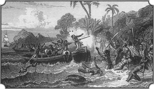 Иллюстрация к книге — Путешествие по всему миру на "Буссоли" и "Астролябии" [i_245.jpg]