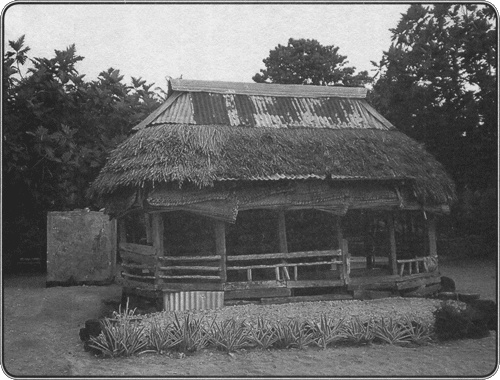 Иллюстрация к книге — Путешествие по всему миру на "Буссоли" и "Астролябии" [i_250.jpg]