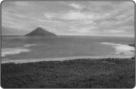 Иллюстрация к книге — Путешествие по всему миру на "Буссоли" и "Астролябии" [i_257.jpg]