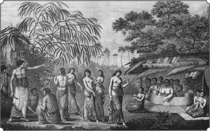 Иллюстрация к книге — Путешествие по всему миру на "Буссоли" и "Астролябии" [i_262.jpg]