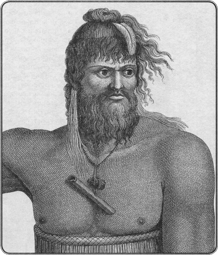 Иллюстрация к книге — Путешествие по всему миру на "Буссоли" и "Астролябии" [i_264.jpg]