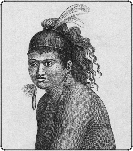 Иллюстрация к книге — Путешествие по всему миру на "Буссоли" и "Астролябии" [i_265.jpg]