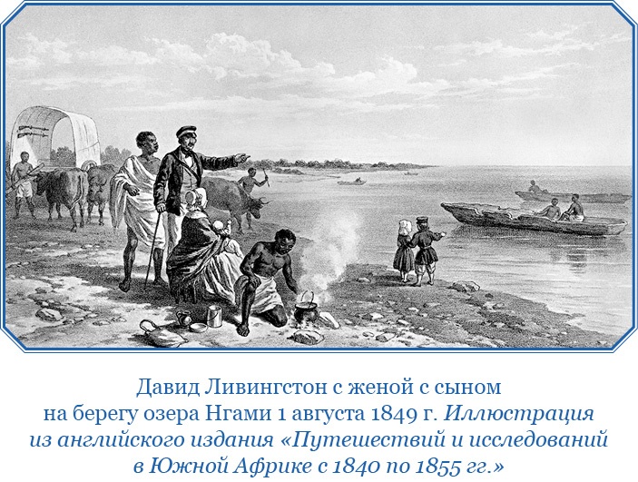 Иллюстрация к книге — Дневники исследователя Африки [i_012.jpg]