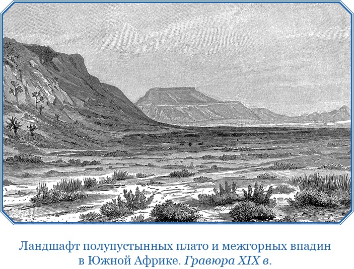 Иллюстрация к книге — Дневники исследователя Африки [i_013.jpg]