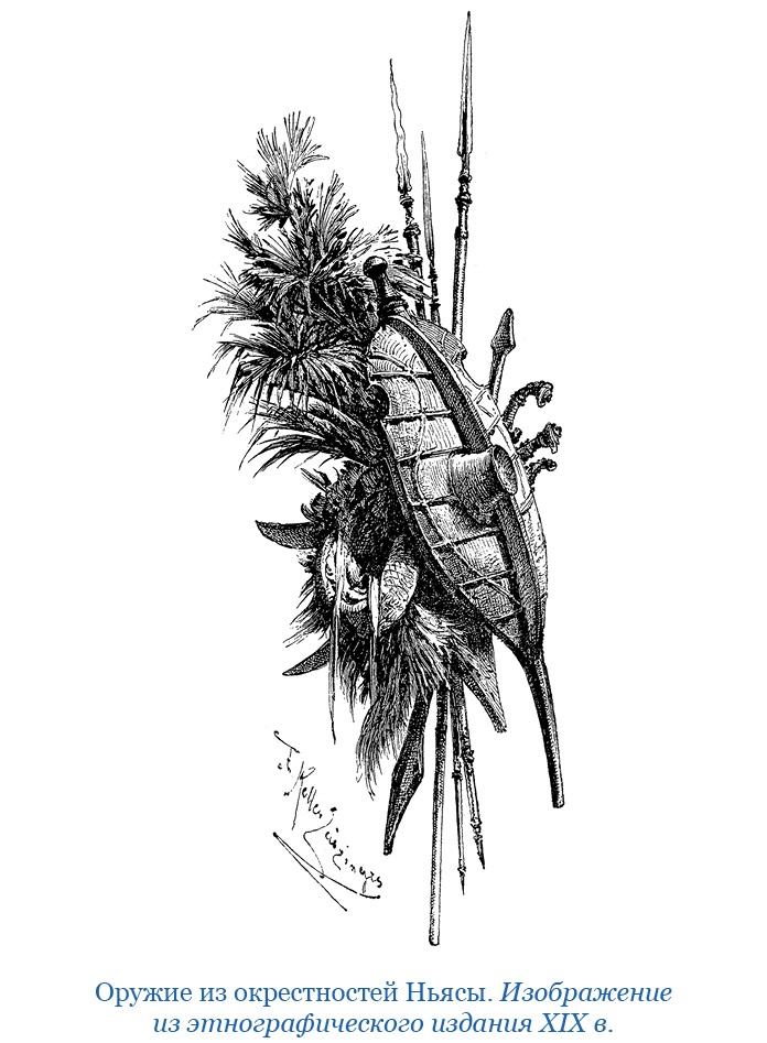 Иллюстрация к книге — Дневники исследователя Африки [i_031.jpg]