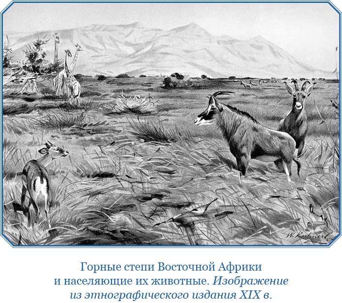 Иллюстрация к книге — Дневники исследователя Африки [i_032.jpg]