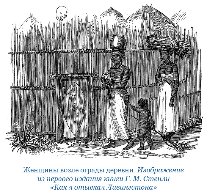 Иллюстрация к книге — Дневники исследователя Африки [i_042.jpg]