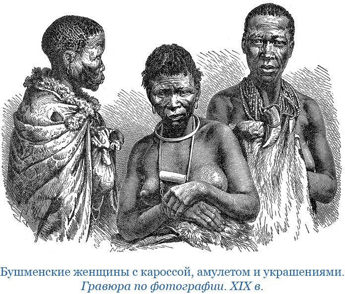 Иллюстрация к книге — Дневники исследователя Африки [i_054.jpg]