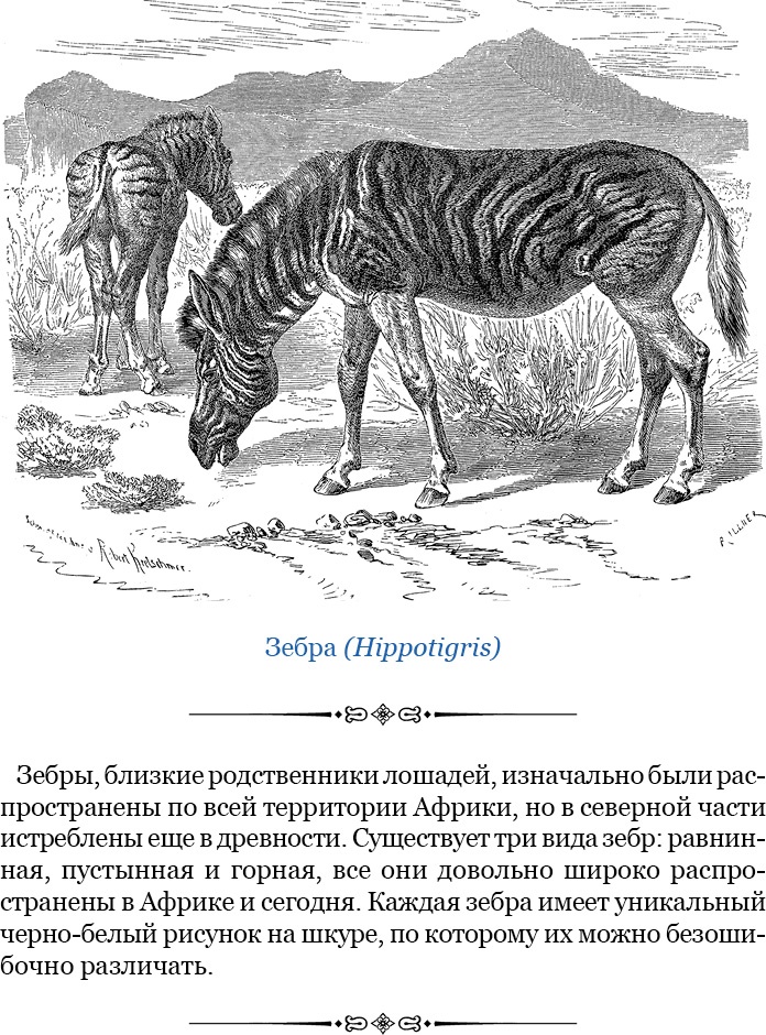 Иллюстрация к книге — Дневники исследователя Африки [i_058.jpg]