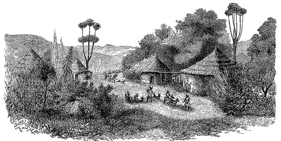 Иллюстрация к книге — Дневники исследователя Африки [i_059.jpg]