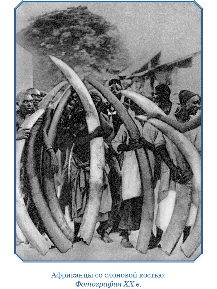 Иллюстрация к книге — Дневники исследователя Африки [i_067.jpg]