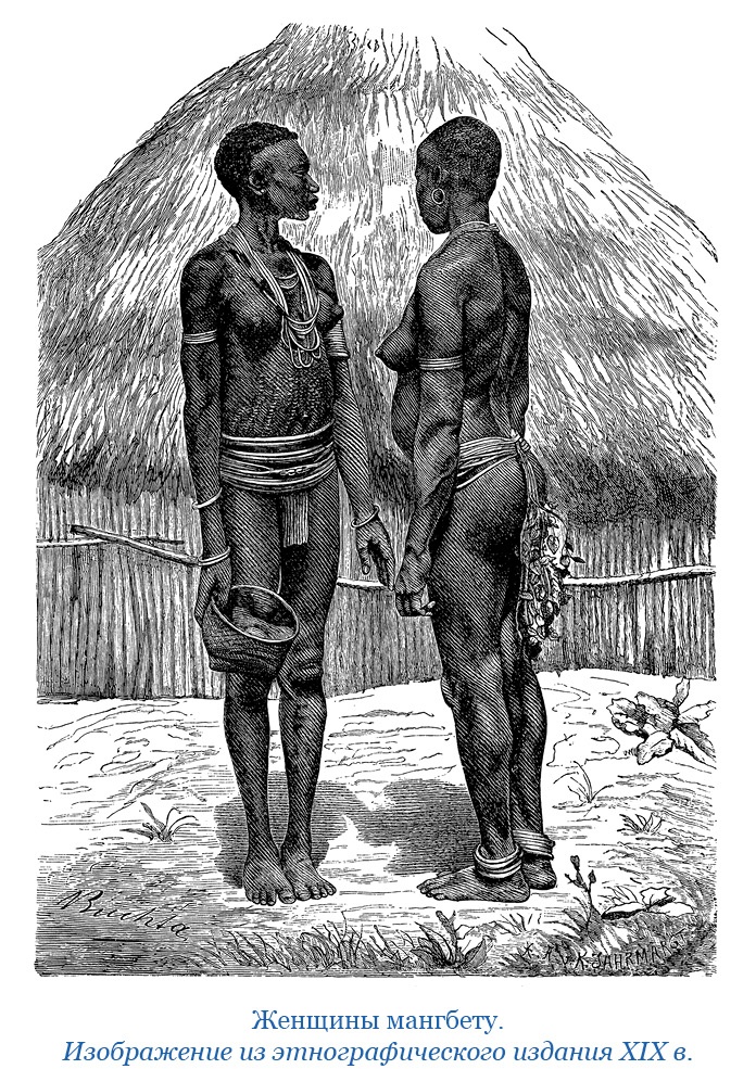 Иллюстрация к книге — Дневники исследователя Африки [i_070.jpg]