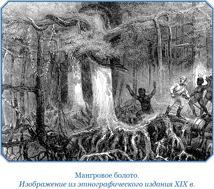 Иллюстрация к книге — Дневники исследователя Африки [i_077.jpg]