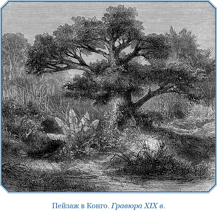 Иллюстрация к книге — Дневники исследователя Африки [i_080.jpg]