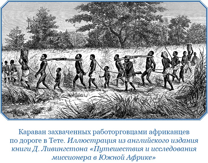 Иллюстрация к книге — Дневники исследователя Африки [i_083.jpg]