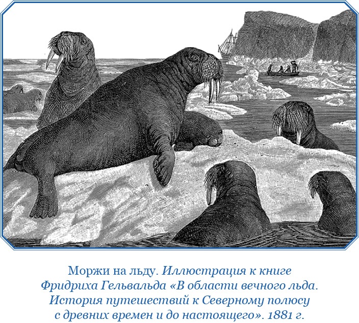 Иллюстрация к книге — Плавания капитана флота Федора Литке вокруг света и по Северному Ледовитому океану [i_036.jpg]