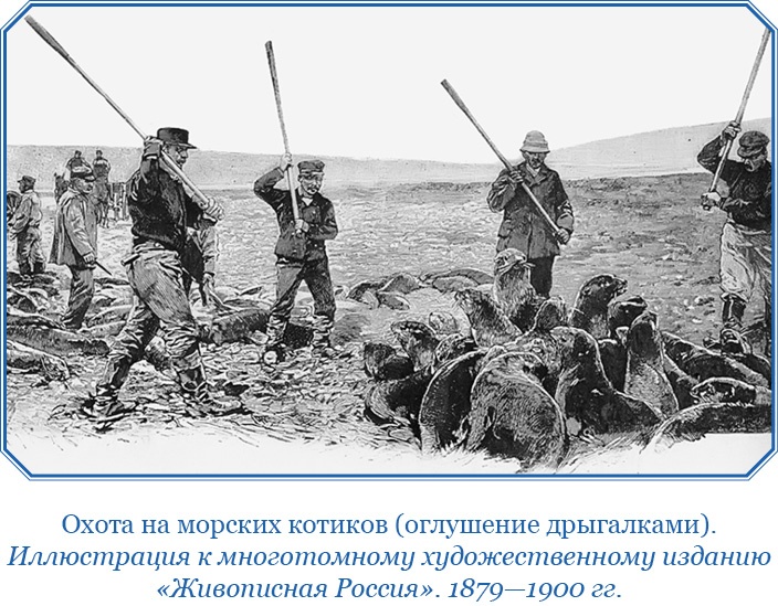 Иллюстрация к книге — Плавания капитана флота Федора Литке вокруг света и по Северному Ледовитому океану [i_088.jpg]