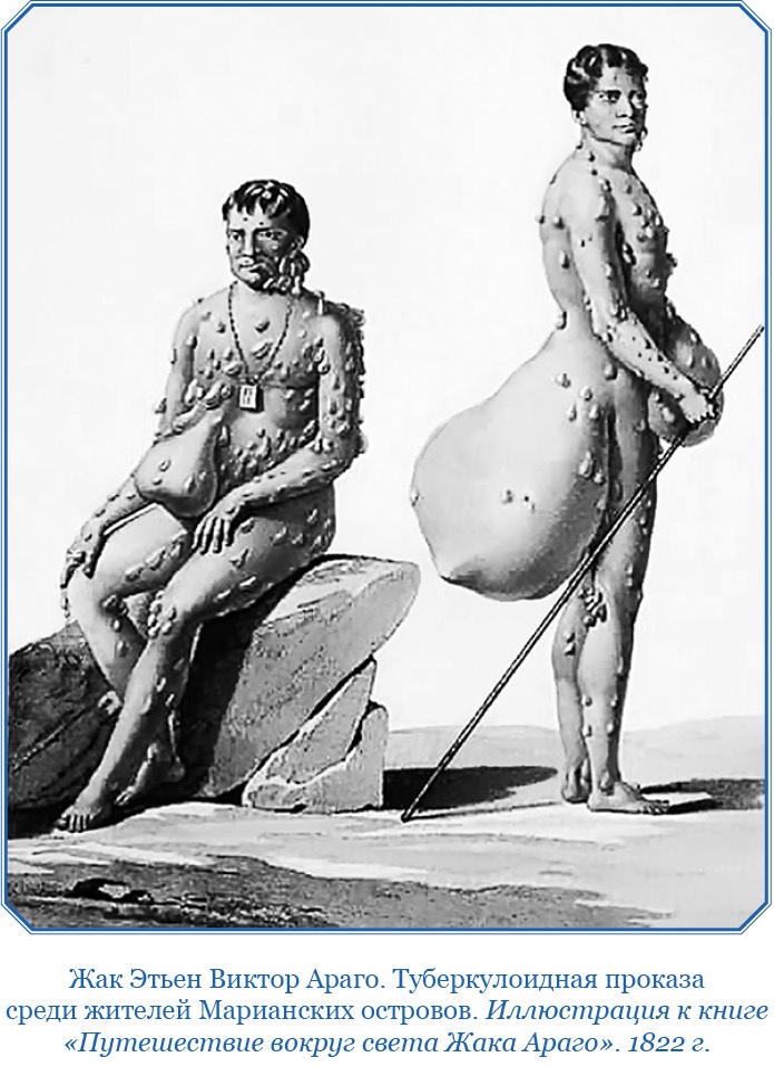 Иллюстрация к книге — Плавания капитана флота Федора Литке вокруг света и по Северному Ледовитому океану [i_105.jpg]