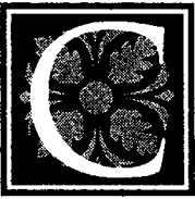 Иллюстрация к книге — Франция. Прованс от A до Z [i_004.jpg]