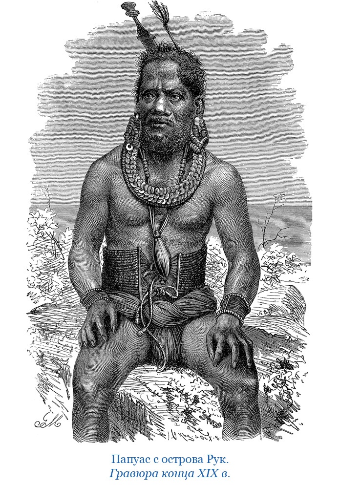 Иллюстрация к книге — Путешествие на берег Маклая [i_010.jpg]