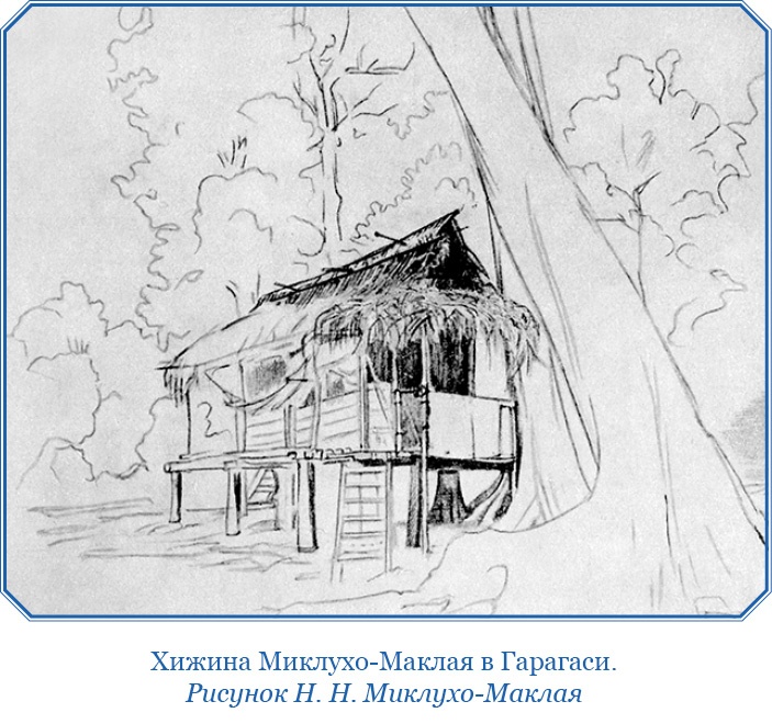 Иллюстрация к книге — Путешествие на берег Маклая [i_014.jpg]