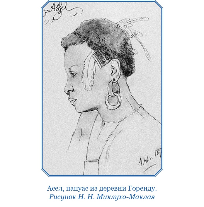 Иллюстрация к книге — Путешествие на берег Маклая [i_024.jpg]