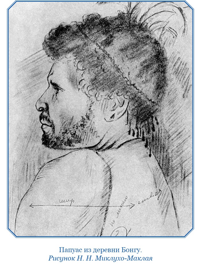 Иллюстрация к книге — Путешествие на берег Маклая [i_030.jpg]