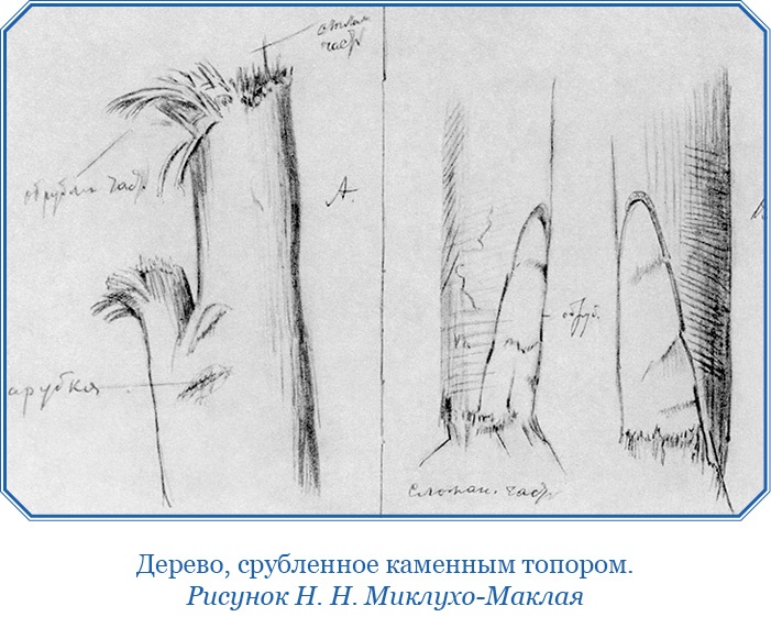 Иллюстрация к книге — Путешествие на берег Маклая [i_039.jpg]
