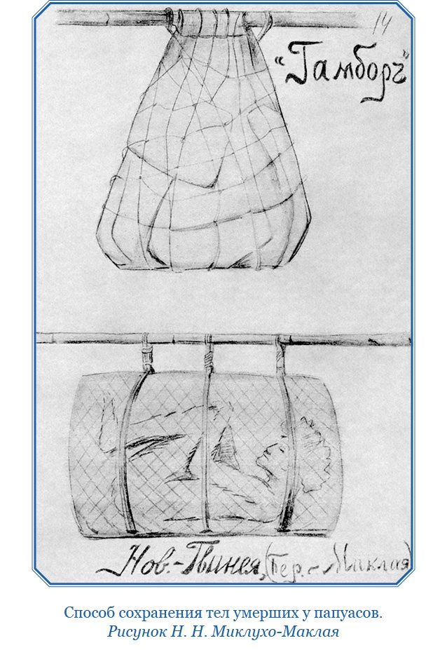 Иллюстрация к книге — Путешествие на берег Маклая [i_047.jpg]