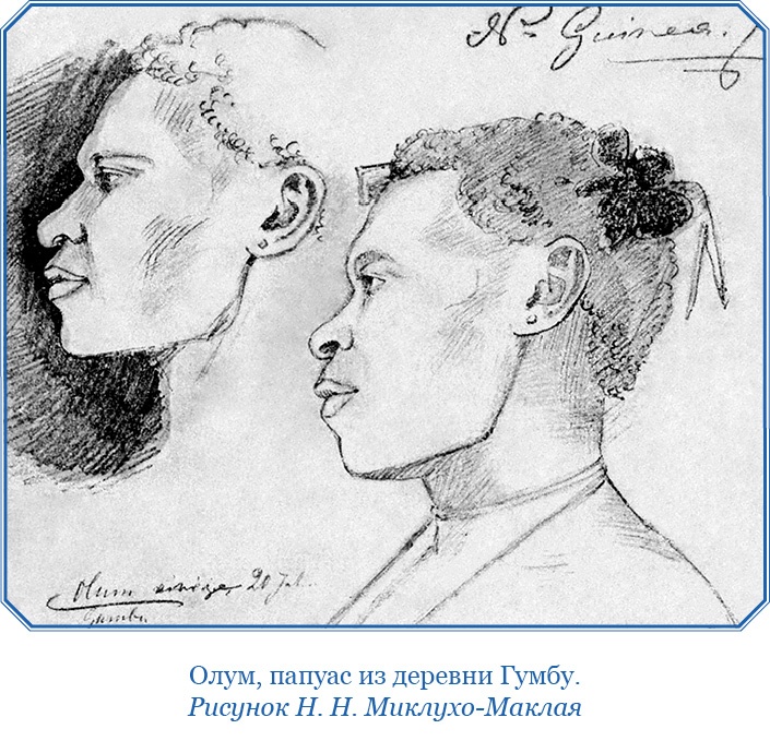 Иллюстрация к книге — Путешествие на берег Маклая [i_048.jpg]