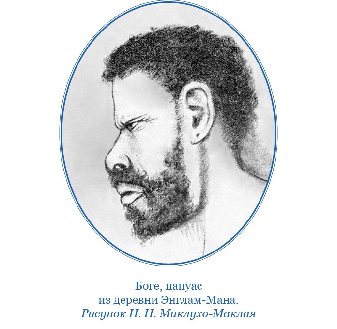 Иллюстрация к книге — Путешествие на берег Маклая [i_049.jpg]