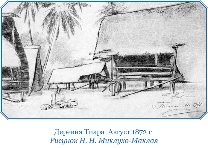 Иллюстрация к книге — Путешествие на берег Маклая [i_054.jpg]