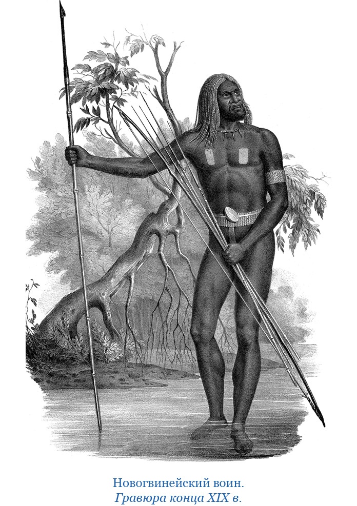 Иллюстрация к книге — Путешествие на берег Маклая [i_056.jpg]