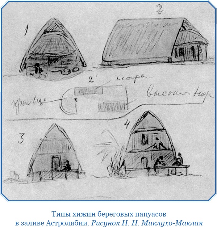 Иллюстрация к книге — Путешествие на берег Маклая [i_065.jpg]