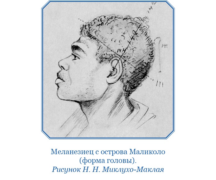 Иллюстрация к книге — Путешествие на берег Маклая [i_067.jpg]