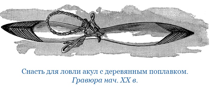 Иллюстрация к книге — Путешествие на берег Маклая [i_069.jpg]