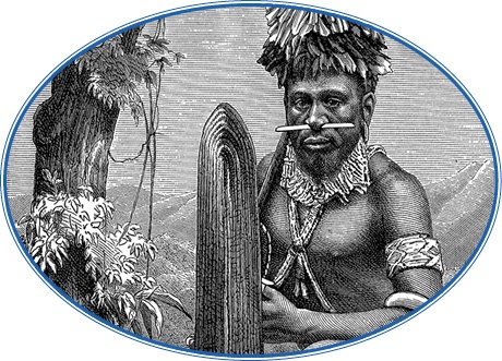 Иллюстрация к книге — Путешествие на берег Маклая [i_074.jpg]