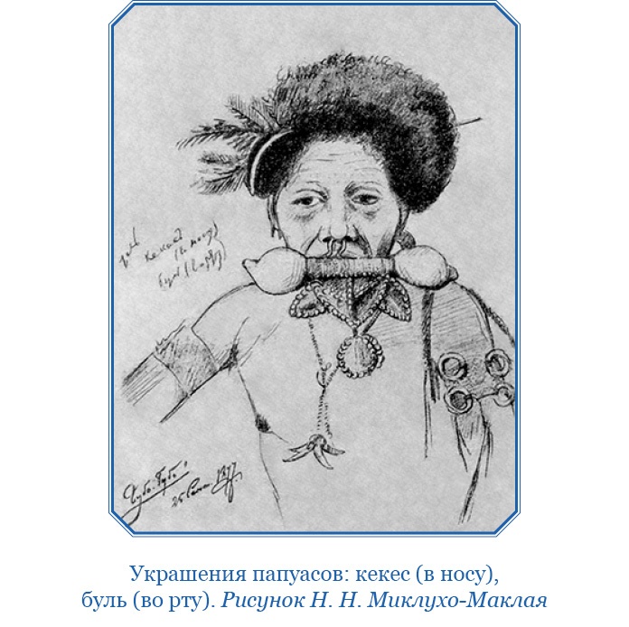 Иллюстрация к книге — Путешествие на берег Маклая [i_079.jpg]