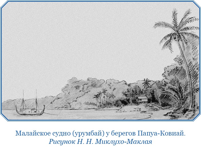 Иллюстрация к книге — Путешествие на берег Маклая [i_094.jpg]