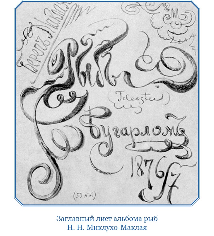 Иллюстрация к книге — Путешествие на берег Маклая [i_102.jpg]