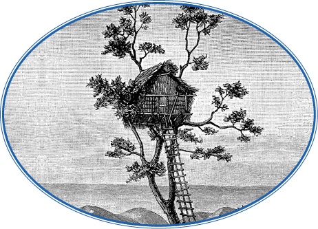 Иллюстрация к книге — Путешествие на берег Маклая [i_107.jpg]