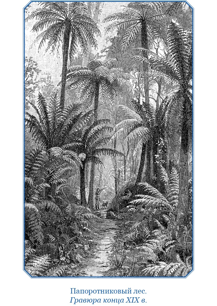 Иллюстрация к книге — Путешествие на берег Маклая [i_111.jpg]